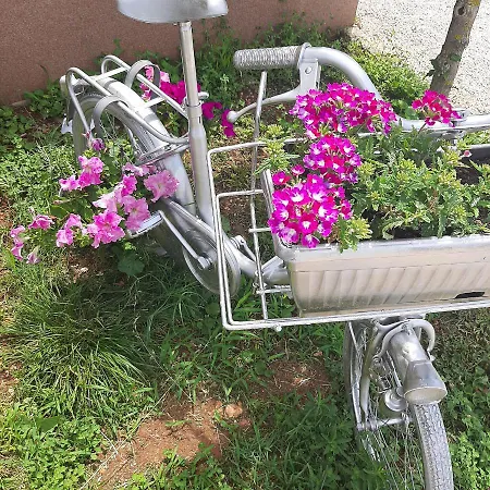 Apartman Kaic 1045 *