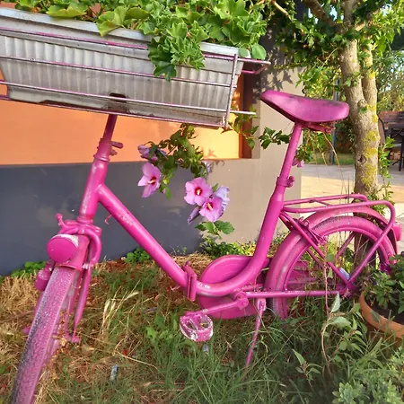 Апартаменты Kaic 1045