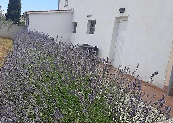 Kaic 1045 * プーラ